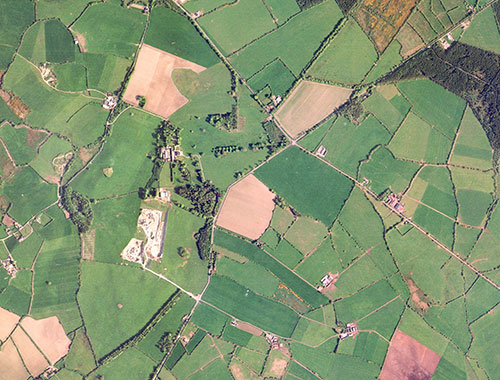 Agriculture