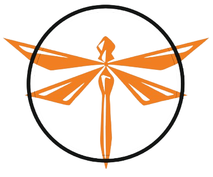 Dragon Fly Logo